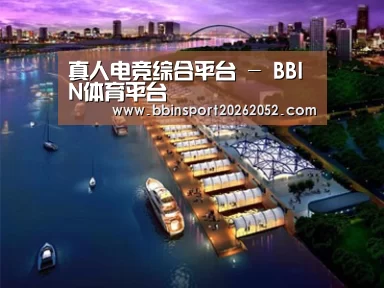 案例展示八