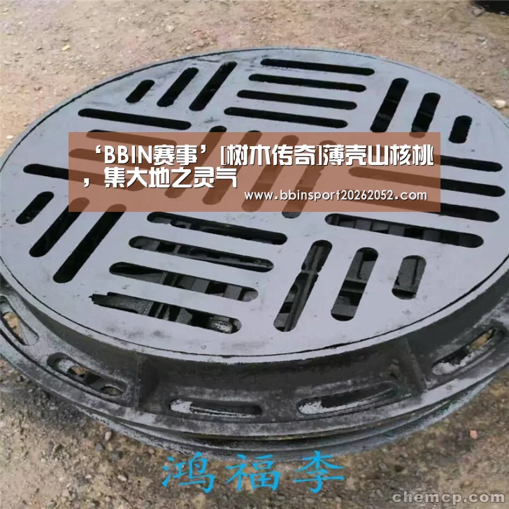 BBIN体育