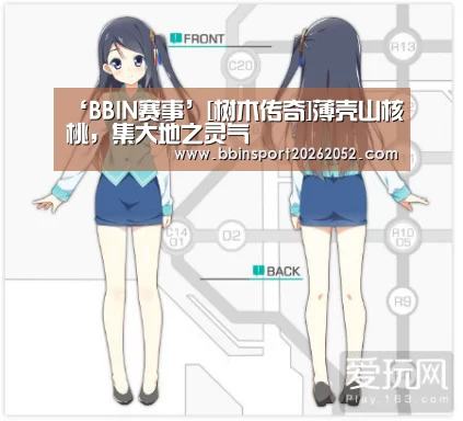 BBIN体育