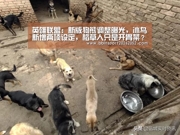 英雄联盟:新版狗熊调整曝光,冰鸟新增两项设定,稻草人只是开胃菜?“BBIN电竞”(图4) BBIN体育