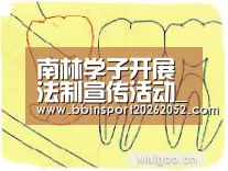 南林学子开展法制宣传活动_BBIN娱乐城(图1) BBIN体育