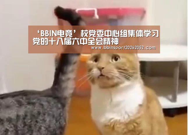 ‘BBIN电竞’校党委中心组集体学习党的十八届六中全会精神(图1) BBIN体育