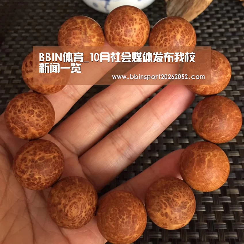 BBIN体育